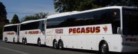 Pegasus Coach Tours image 6